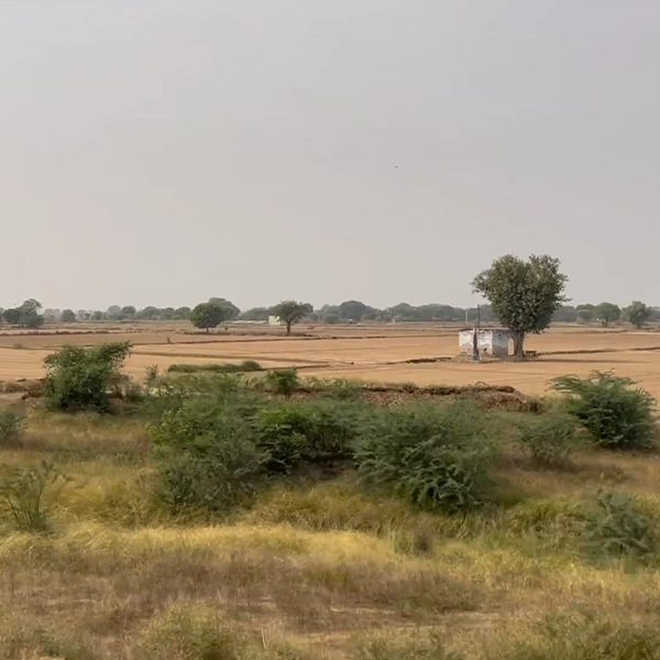 railway-track-open-field-view-from-rail-window-indian-railway-stock-footage