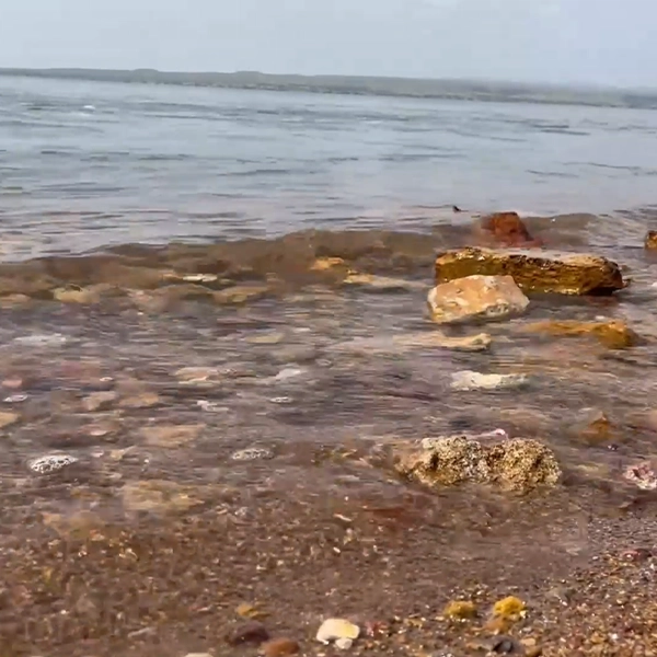 water-wave-bottom-of-sea-beach-stones-at-the-edge-of-sea-at-gulf-of-kutch-arabian-sea-stock-footage
